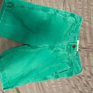 Hollister Men’s Shorts Size 29 Color Green/Blue